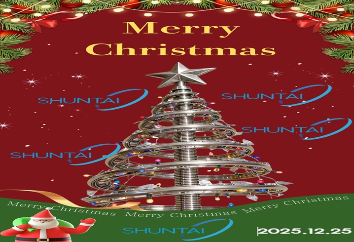 Activités des fêtes | Jour de Noël